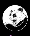 Yin