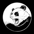 Yin