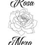 Rosa Nero