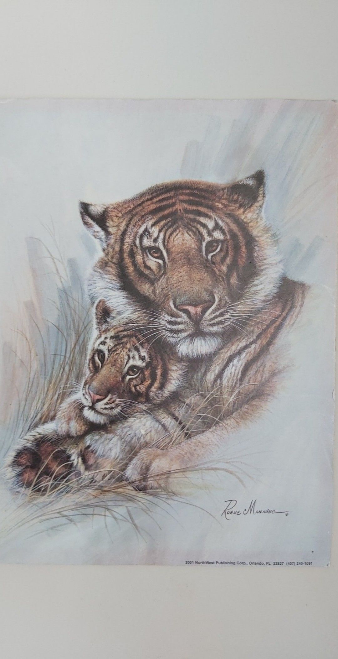 Update more than 62 tiger cub tattoo super hot  incdgdbentre