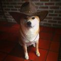Zeke