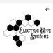 Electric Hive Studios