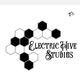 Electric Hive Studios