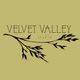 Velvet Valley Studio