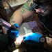 Hollow Diesel Tattoo
