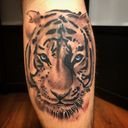 Anthony Guido 