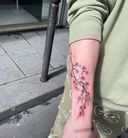 Mx ink