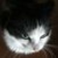 Mavis Askin