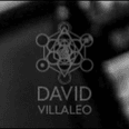 David Villaleo