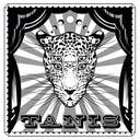 Tanis Tattoo