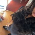 Vaidehi