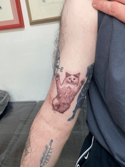 Review image by Adam for Alba Martin Tattoo