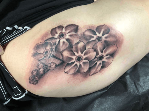 Canvas Tattoo and Art Gallery