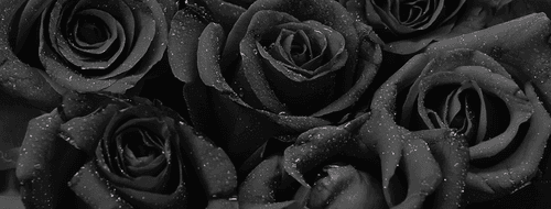 Fleur Noire Tattoo LA • Tattoo Studio | Book Now • Tattoodo