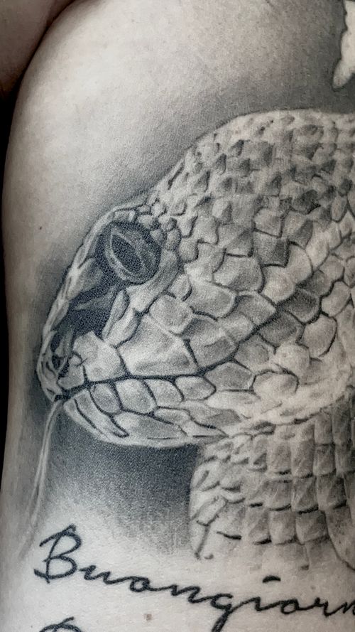  Venus Body Art