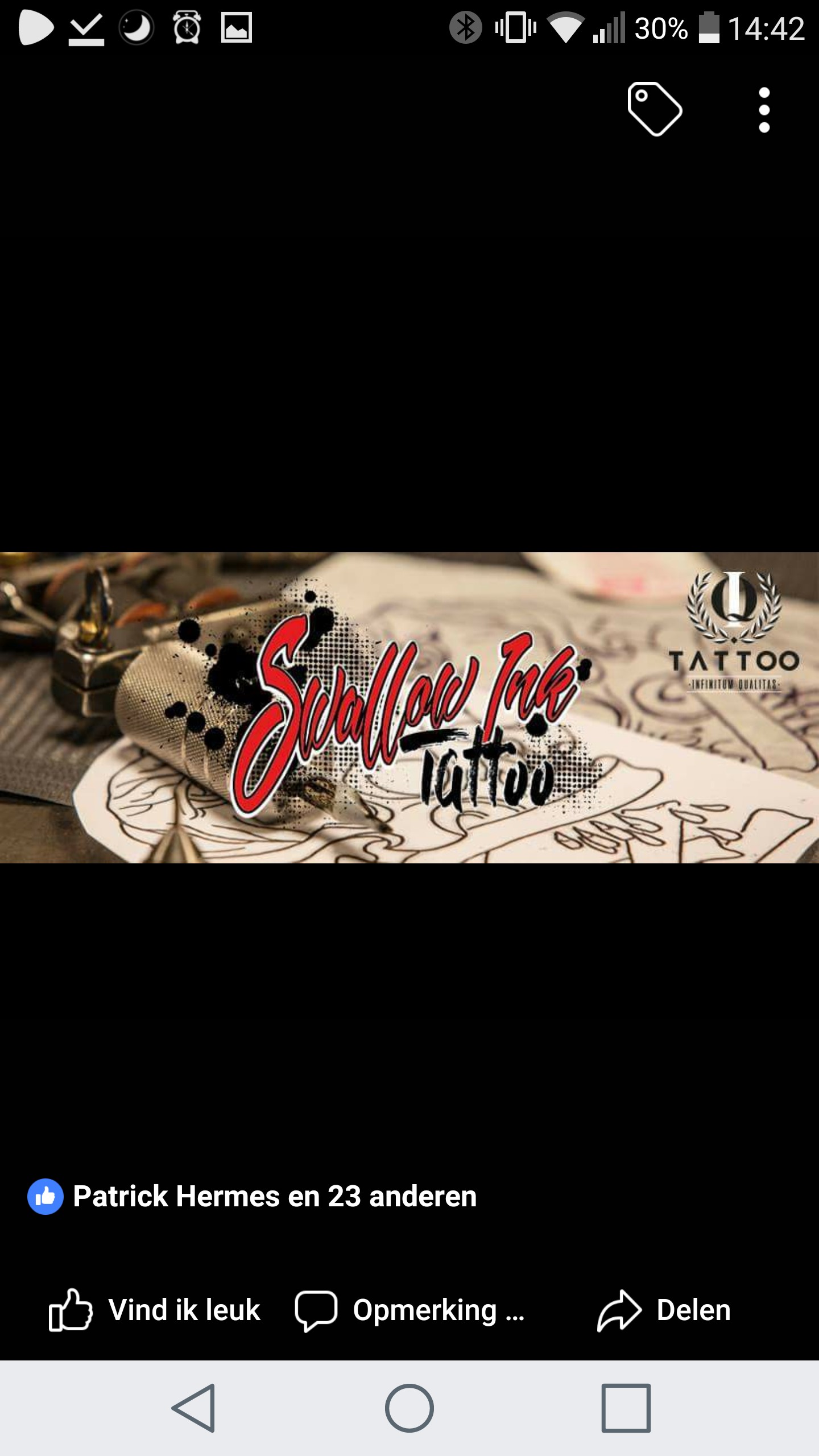 Swallow Ink Tattoo • Tattoo Studio • Tattoodo